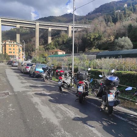 Camera Privata Nell'Appartamento In Zona Residenziale Con 2 Piscine Rapallo Exterior foto